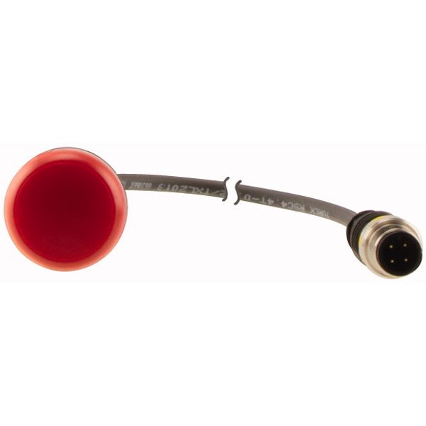 Indicator light, Flat, Cable (black) with M12A plug, 4 pole, 0.2 m, Lens Red, LED Red, 24 V AC/DC image 2