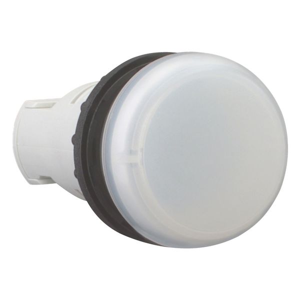 Indicator light, RMQ-Titan, Flush, without light elements, For filament bulbs, neon bulbs and LEDs up to 2.4 W, with BA 9s lamp socket, white image 11