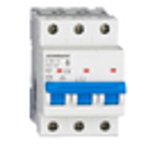 Miniature Circuit Breaker (MCB) AMPARO 6kA, C 50A, 3-pole image 2