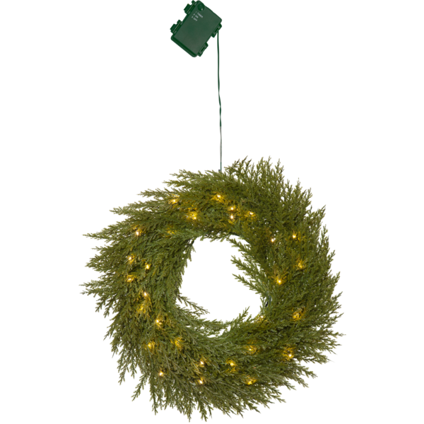 Wreath Thuja image 1