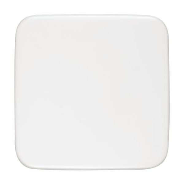 1576 CN-84 CoverPlates (partly incl. Insert) future®, Busch-axcent®, solo®; carat® Studio white image 8