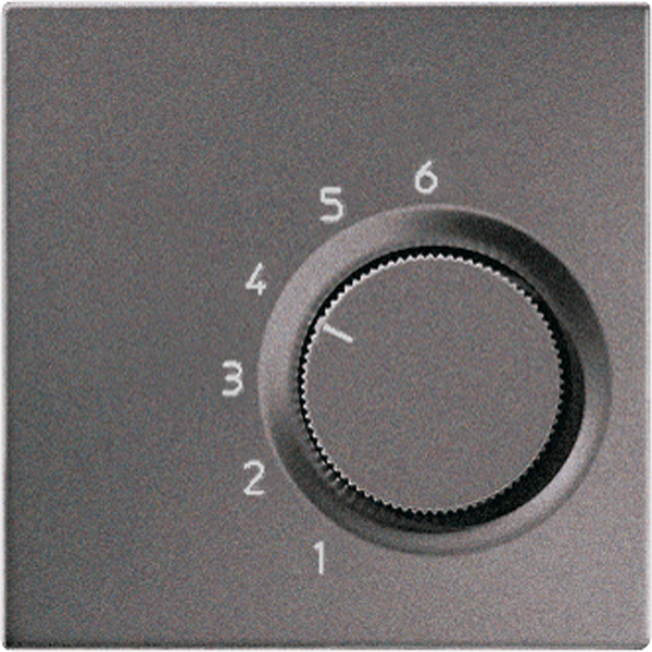 centre plate for room thermostat insert image 1