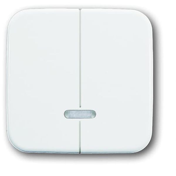 6545-214 CoverPlates (partly incl. Insert) carat® Alpine white image 1