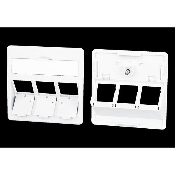 Central plate 50 x 50 mm 3 port, traffic white, modul image 1