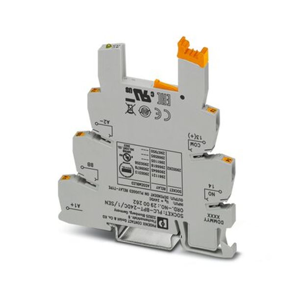 PLC-BPT- 24DC/ 1/SEN - Relay base image 3