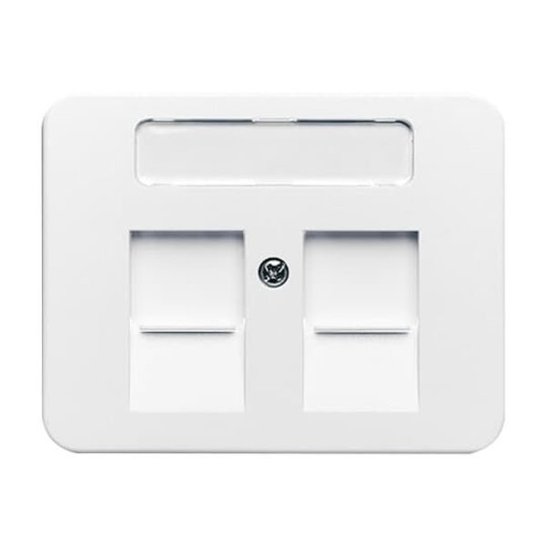 1746/10-24G CoverPlates (partly incl. Insert) carat® Studio white image 4