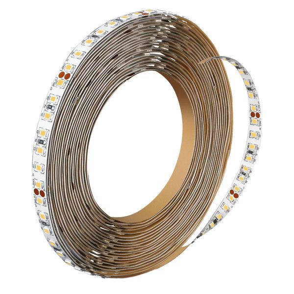 MAS LEDstrip 16.6W940 2000LM/M 5M image 1