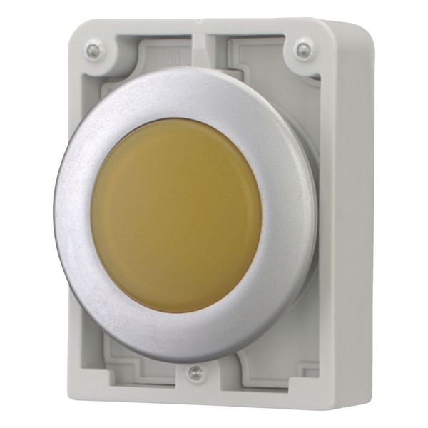 Indicator light, RMQ-Titan, Flat, yellow, Metal bezel image 5