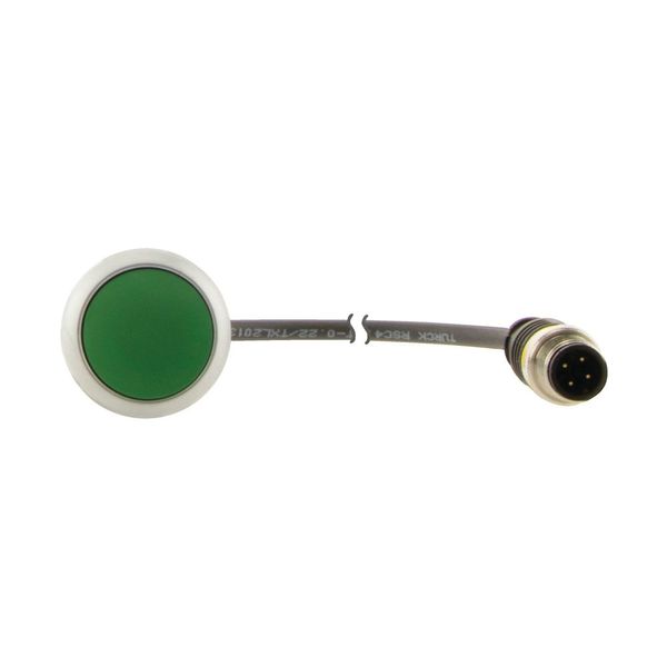 Pushbutton, Flat, momentary, 1 N/O, Cable (black) with M12A plug, 4 pole, 0.2 m, green, Blank, Bezel: titanium image 7