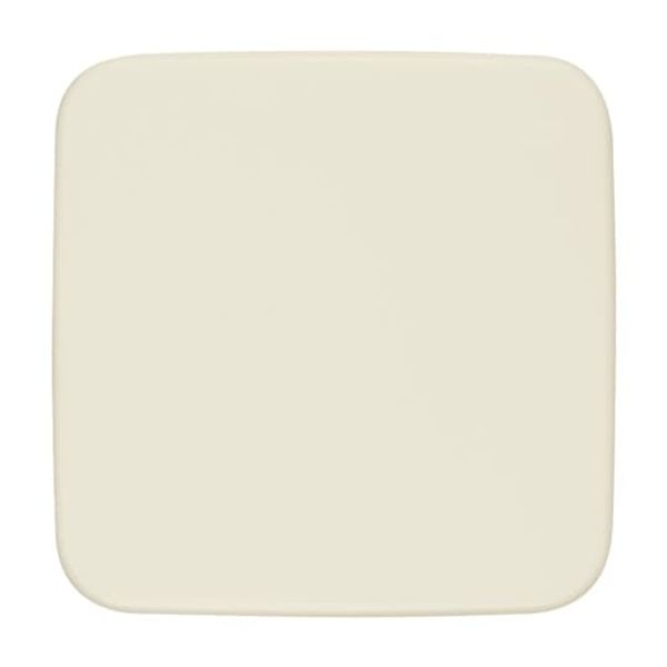 1571 CN-914 CoverPlates (partly incl. Insert) Busch-balance® SI Alpine white image 13