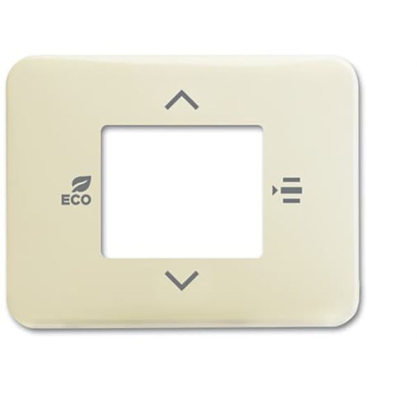 6109/03-22G Coverplate f. RTC image 1