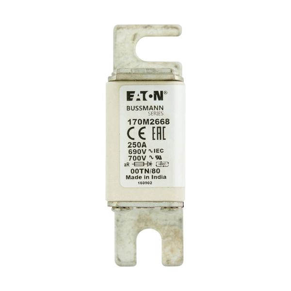 Fuse-link, high speed, 250 A, AC 690 V, DIN 00, aR, DIN, IEC, single indicator, live gripping lugs image 13