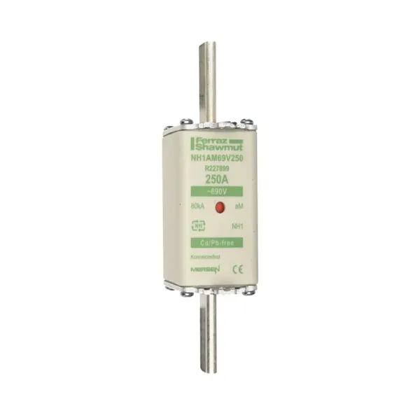 Fuse-link NH1 aM 690VAC 250A live tags Double indicator image 2