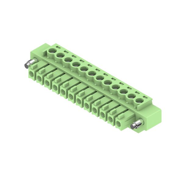 PCB plug-in connector (wire connection), 3.81 mm, Number of poles: 12, image 2