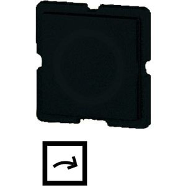 Button plate, 25 x 25 mm, arrow symbol image 2