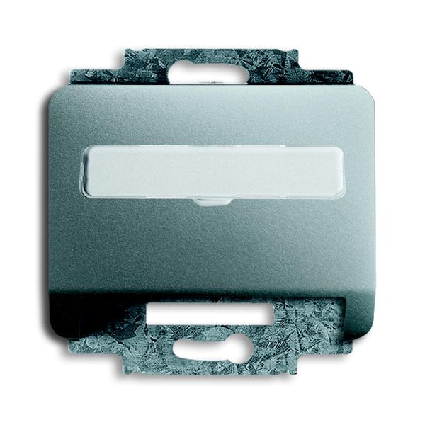 1758-266 CoverPlates (partly incl. Insert) carat® titanium image 1