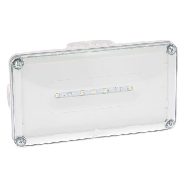 LCS EVAC LEDS IP66 24VDC image 1