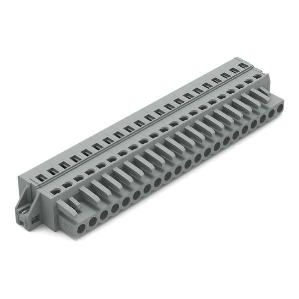 1-conductor female connector CAGE CLAMP® 2.5 mm² gray image 1