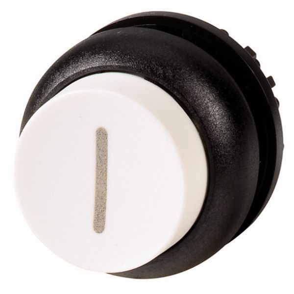 Pushbutton, RMQ-Titan, Extended, momentary, White, inscribed, Bezel: black image 1