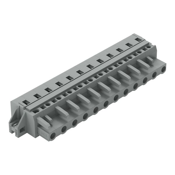 1-conductor female connector CAGE CLAMP® 2.5 mm² gray image 1