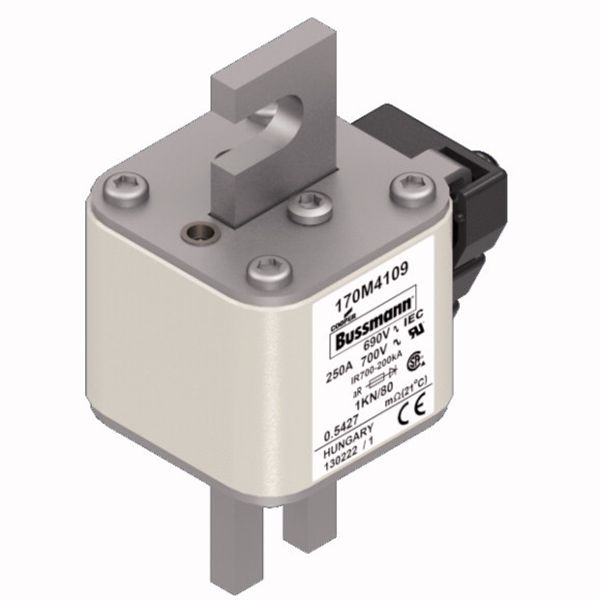 Fuse-link, high speed, 250 A, AC 690 V, DIN 1, 53 x 69 x 108 mm, aR, DIN, IEC, single indicator image 3