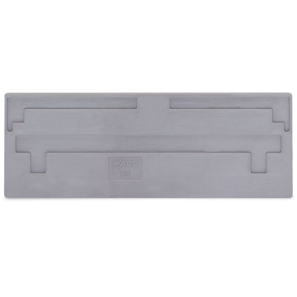 Separator plate 2 mm thick oversized gray image 1