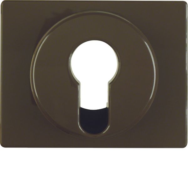 Centre plate for key switch/key push-button, arsys, brown glossy image 1