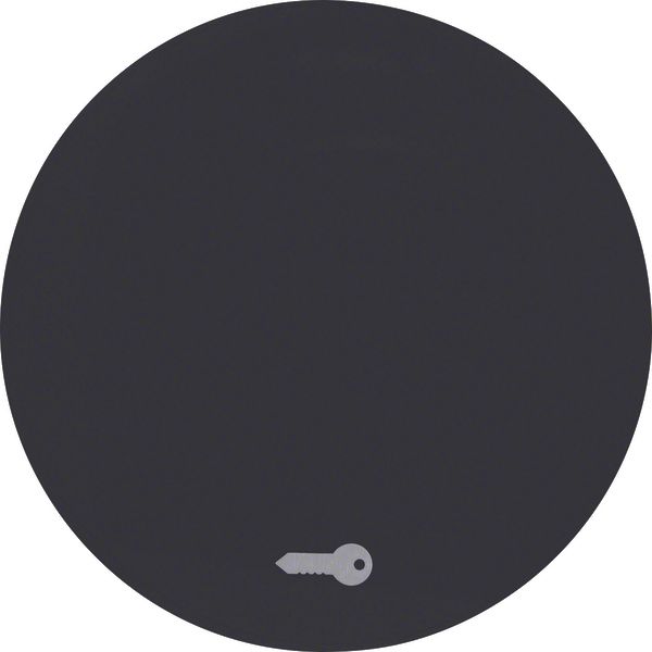 Rocker imprinted symbol for door opener, R.1/R.3, black glossy image 1