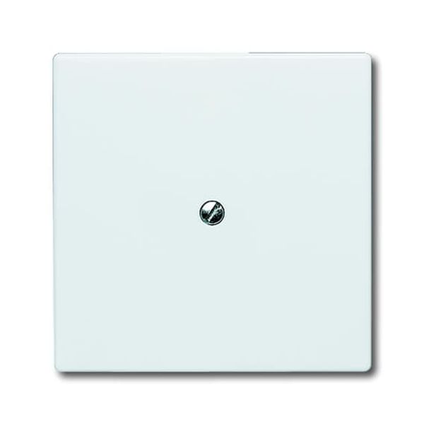 2138-34 CoverPlates (partly incl. Insert) Flush-mounted, water-protected, special connecting devices Alpine white image 2