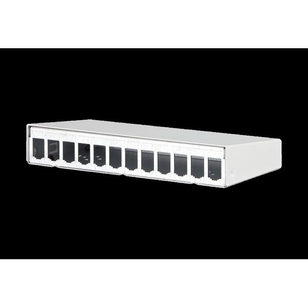 Modul surface mount housing 12 port pure white, unequipped image 2