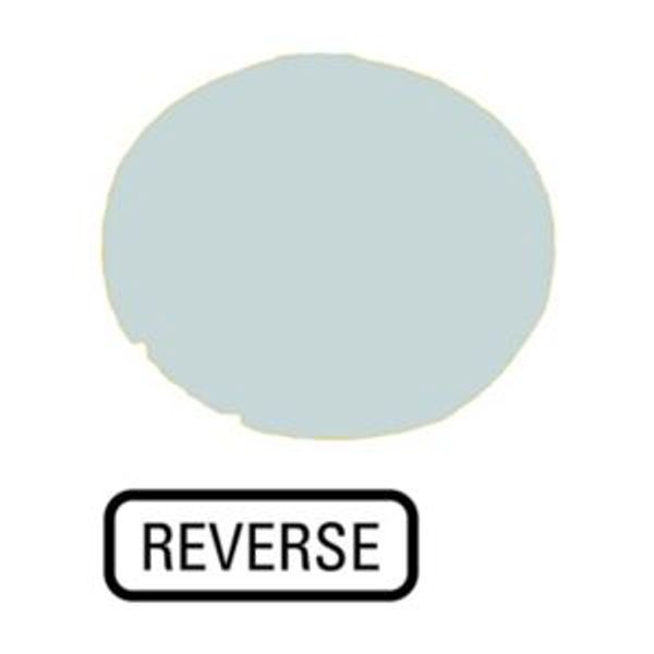 Button lens, flat white, REVERSE image 2