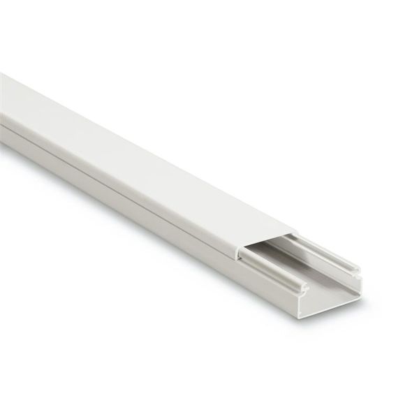 MINI-TRUNKING 40X20 WHITE ENV.LID image 1