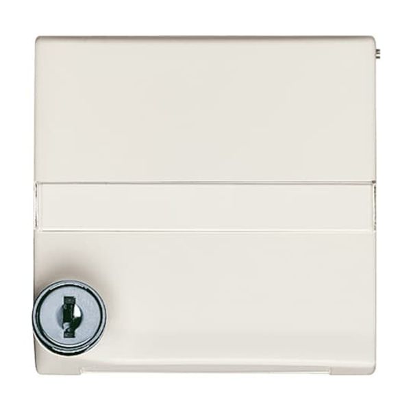 2118 GKSLN-32 CoverPlates (partly incl. Insert) Flush-mounted, water-protected, special connecting devices White image 2