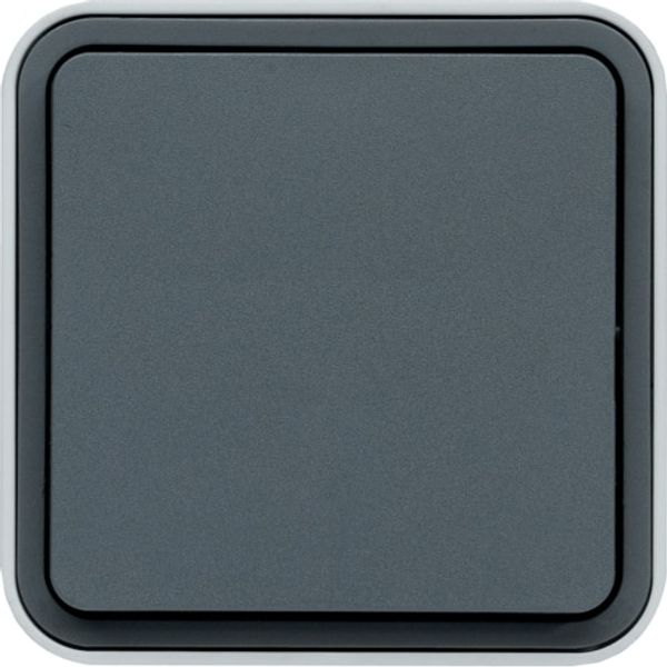 CUBYKO WALL-MOUNTED BUTTON IP55 GRAY image 1