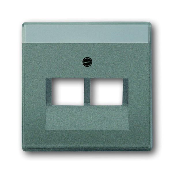 1803-02-803 CoverPlates (partly incl. Insert) Busch-axcent®, solo® grey metallic image 1