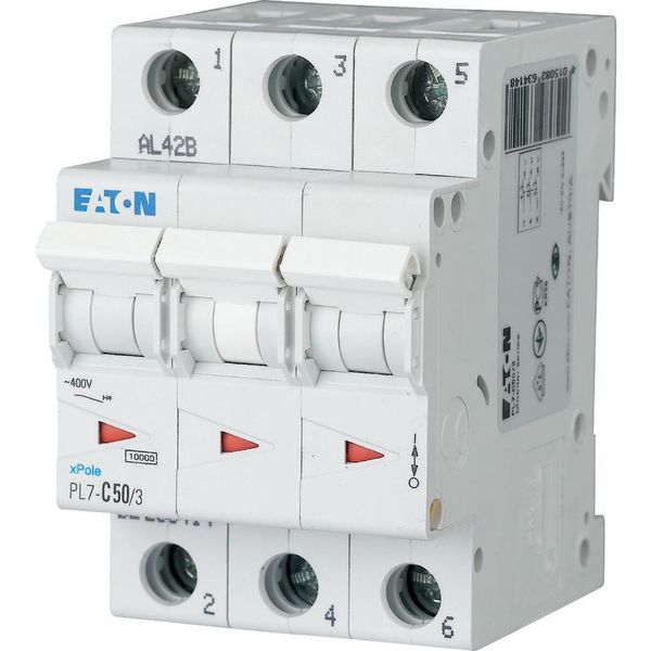 Miniature circuit breaker (MCB), 50 A, 3p, characteristic: C image 2