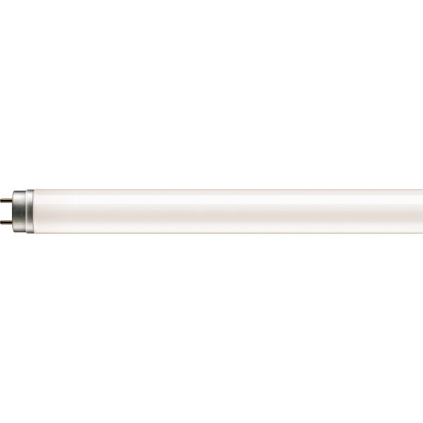 Pila LED tube 1500mm 19.5W 865 G13 image 2