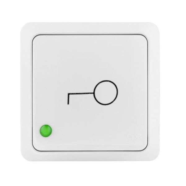 BERG PUSH "KEY" SWITCH image 1