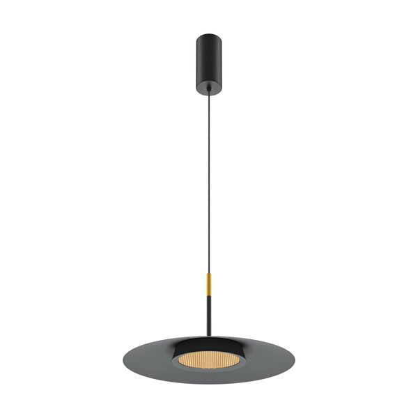 Modern El Pendant lamp Black image 1