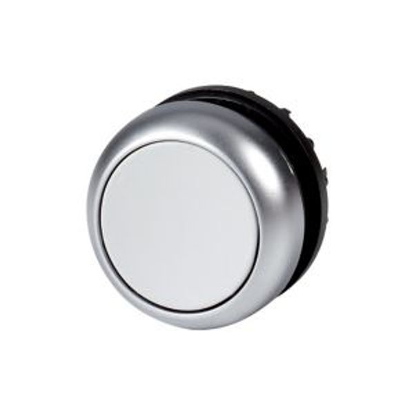 Pushbutton, RMQ-Titan, Flat, momentary, gray, Blank, Bezel: titanium image 2