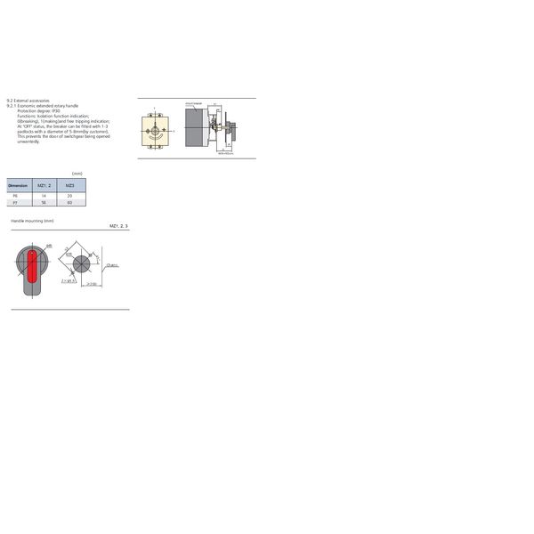 Economic extended rotary handle (lockable) for MZ2 3p image 9