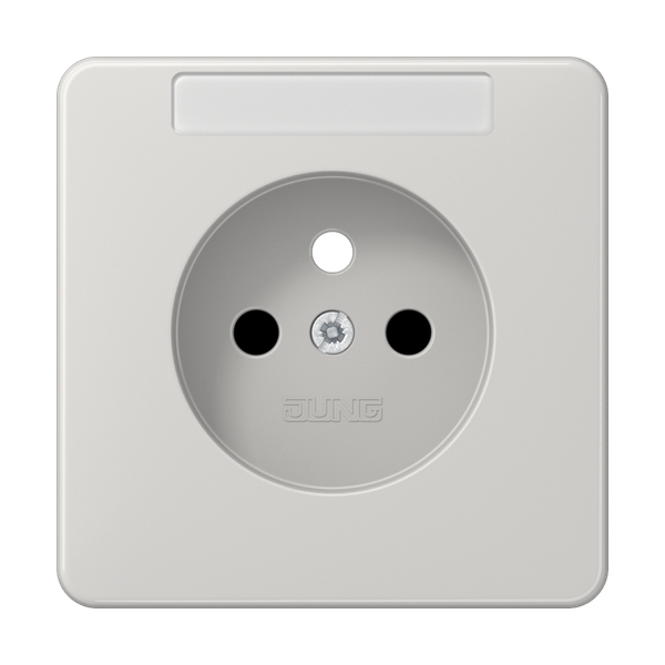 Centre plate for socket insert French/Belgian system NaV, NaV, NaV, duroplastic, CD range, light grey image 1