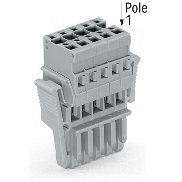 1-conductor female connector CAGE CLAMP® 4 mm² gray image 3