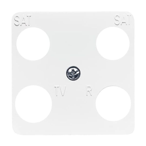 1743-04-214 CoverPlates (partly incl. Insert) carat® Alpine white image 3