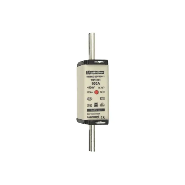 Fuse-link NH1 gG 500VAC 100A isolated tags Double indicator image 2