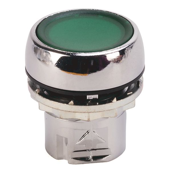 Push Button, Flush, Illuminated, Momentary, Metal, Green image 1