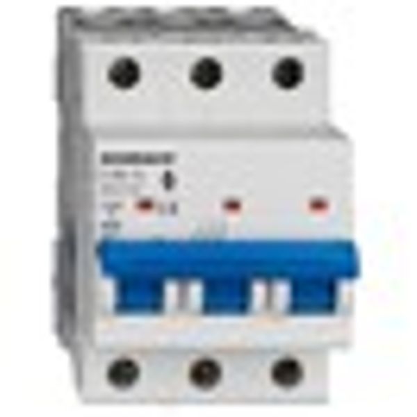 Miniature Circuit Breaker (MCB) AMPARO 10kA, C 25A, 3-pole image 7