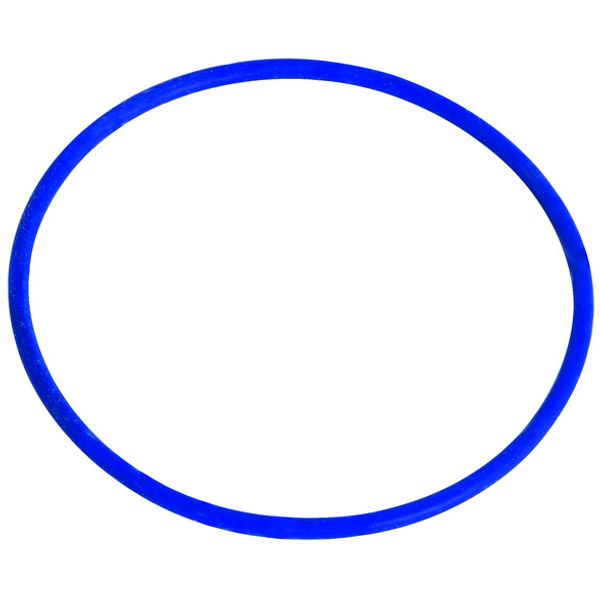 Sealing ring for indicator of phase comparator image 1