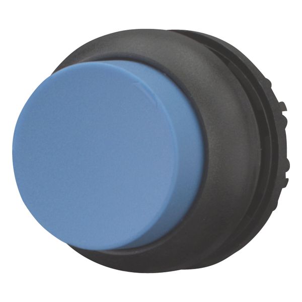 Pushbutton, RMQ-Titan, Extended, maintained, Blue, Blank, Bezel: black image 9