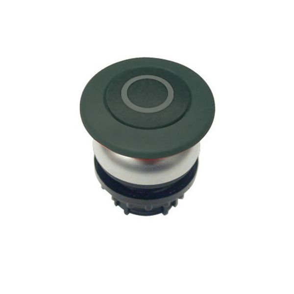 Mushroom actuator, RMQ-Titan, Mushroom, momentary, Mushroom black, black, inscribed, Bezel: titanium image 3